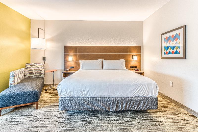 身障者適用キングサイズベッドルーム, Holiday Inn Express & Suites   Rantoul, An Ihg