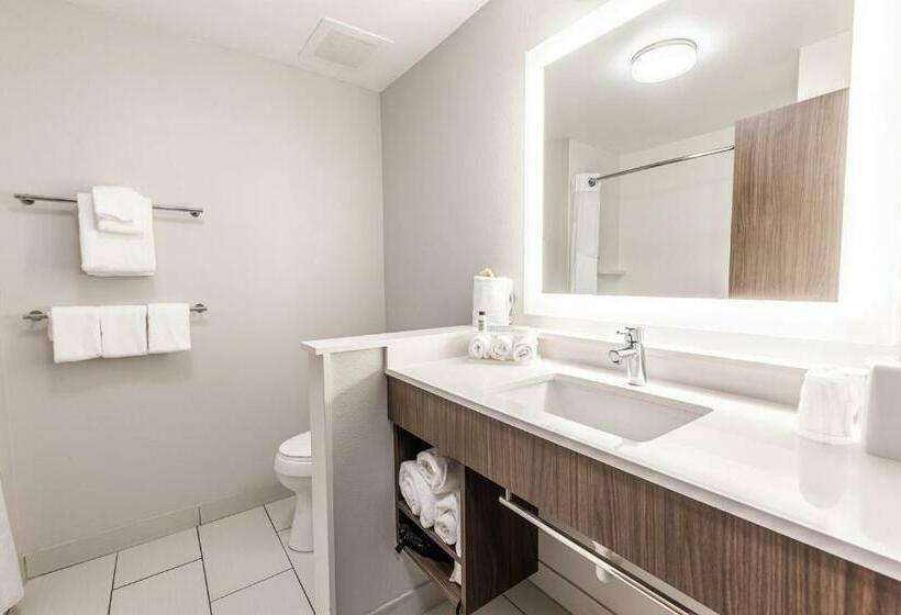スタンダードルーム, Holiday Inn Express & Suites   Rantoul, An Ihg