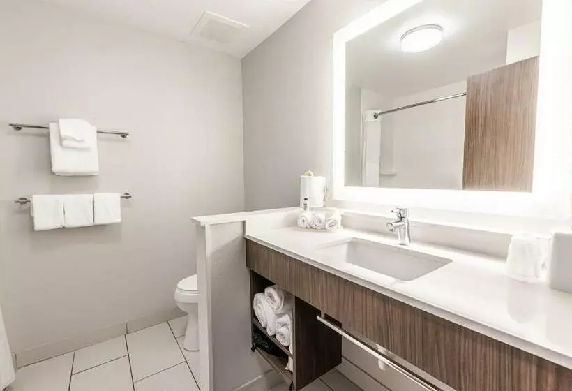 スタンダードルーム, Holiday Inn Express & Suites Rantoul, An Ihg