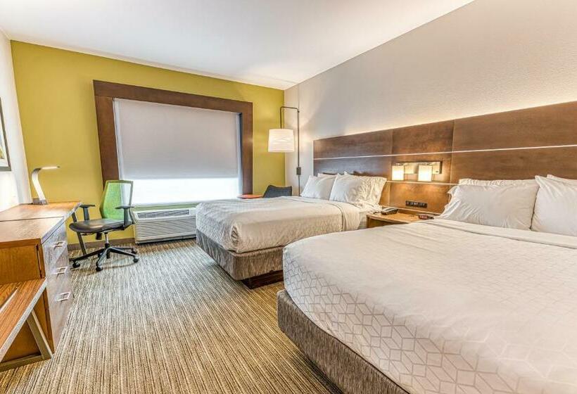身障者適用スタンダードルーム, Holiday Inn Express & Suites   Rantoul, An Ihg