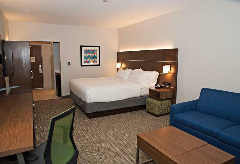 キングサイズベッドのスイートルーム, Holiday Inn Express & Suites   Rantoul, An Ihg