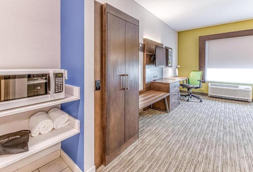 身障者適用キングサイズベッドルーム, Holiday Inn Express & Suites   Rantoul, An Ihg