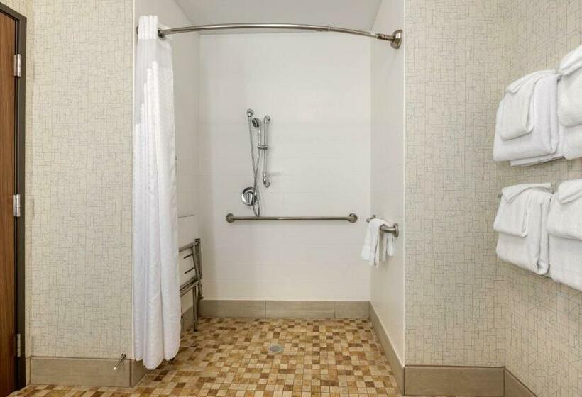 장애인을 위한 킹사이즈 침대 스탠다드 룸, Holiday Inn Express & Suites St. Petersburg Madeira Beach, An Ihg