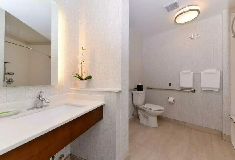 身障者適用キングサイズベッドルーム, Holiday Inn Express & Suites   St. Petersburg   Madeira Beach, An Ihg