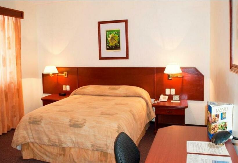 스탠다드 룸, Marcella Clase Ejecutiva