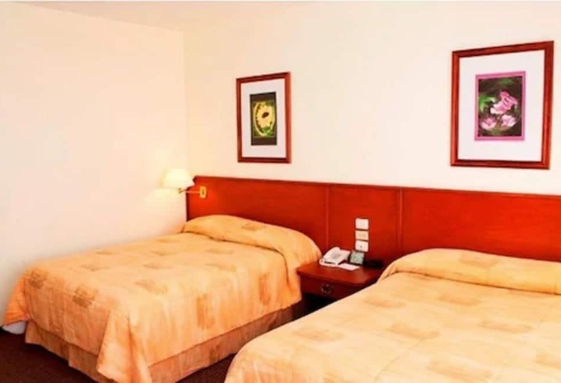 수피리어 룸, Marcella Clase Ejecutiva