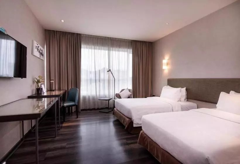 Quarto Deluxe, Olive Tree