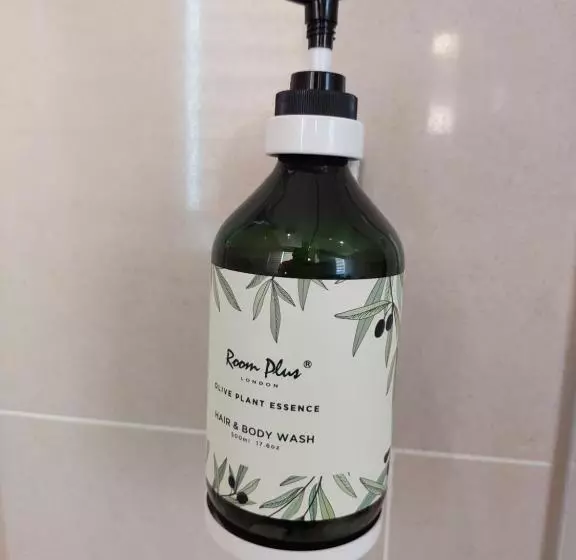 Quarto Deluxe, Olive Tree