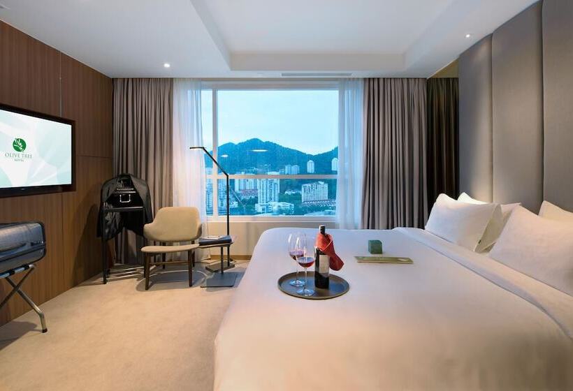 Executive Suite, Olive Tree