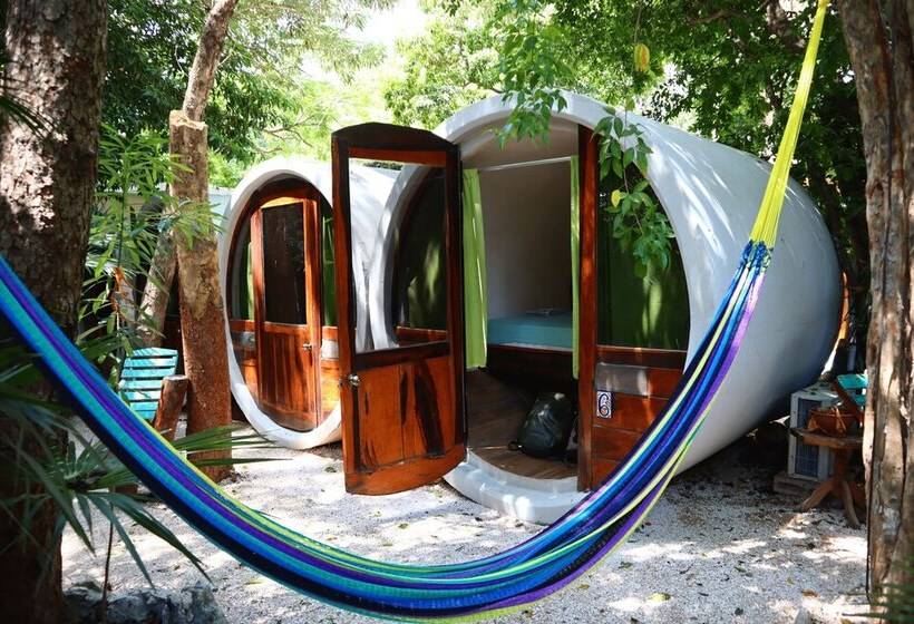 اتاق استاندارد, Tubo Tulum Hostel