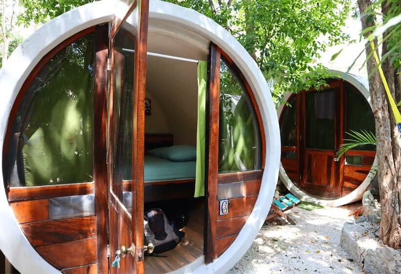 اتاق استاندارد, Tubo Tulum Hostel