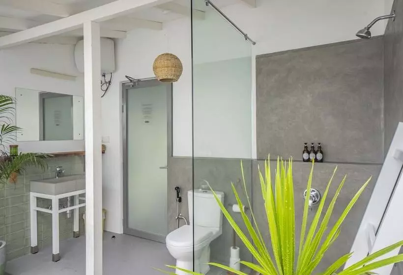 Superior-huone, Global Surf Lodge Kabalana