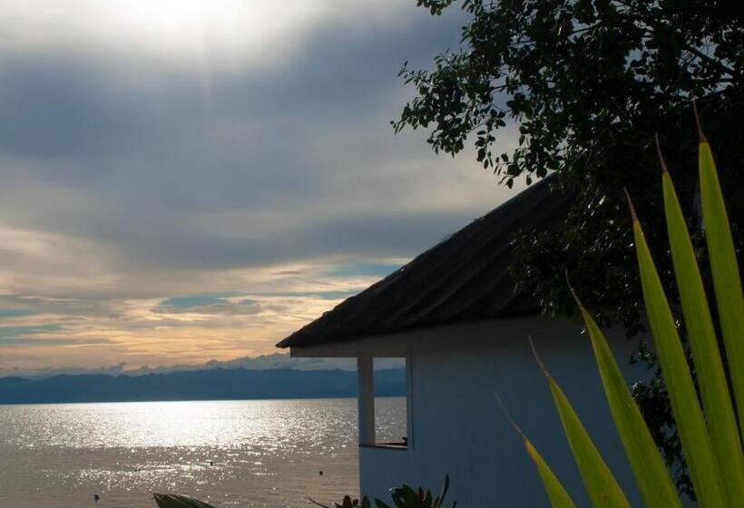 Suite Premium, Quo Vadis Dive Resort