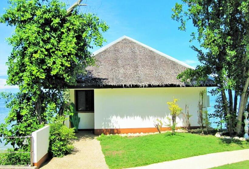 Suite Premium, Quo Vadis Dive Resort