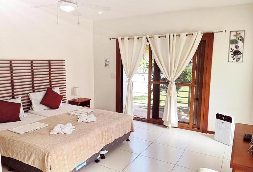 Quarto deluxe, Quo Vadis Dive Resort