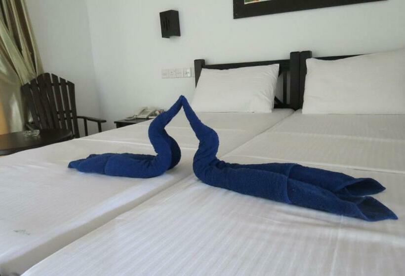 غرفة قياسية مطلّة علي الحديقة, Scandinavia