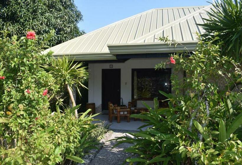 디럭스 방갈로, Dolphin House Resort Moalboal