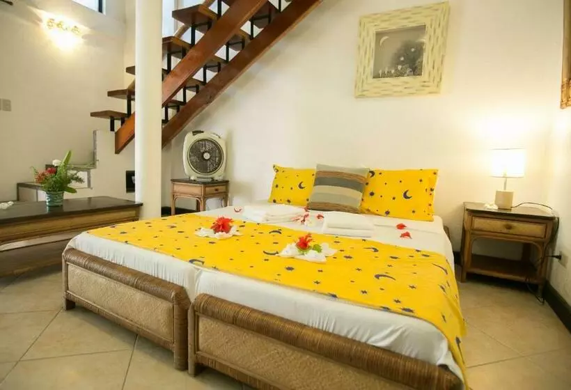 家族用バンガロー, Dolphin House Resort Moalboal