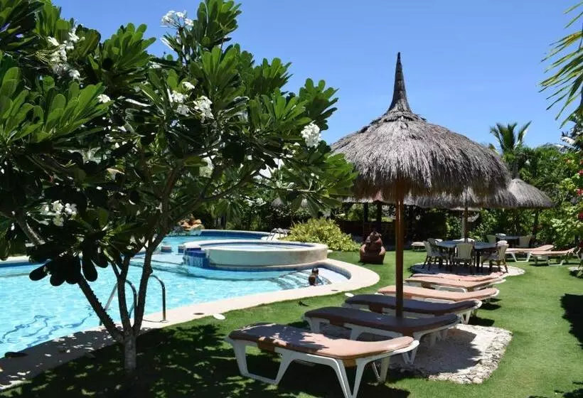デラックスバンガロー, Dolphin House Resort Moalboal