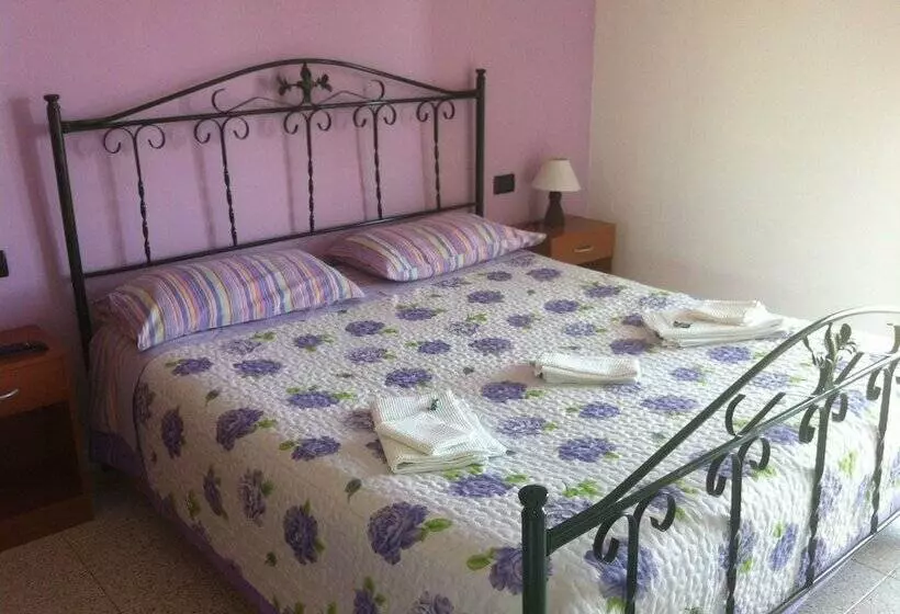 Camera Standard, B&b Xenia