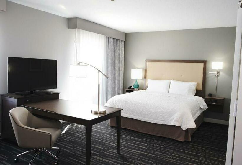 جناح ديلوكس سرير كينج, Hampton Inn & Suites Des Moines/urbandale