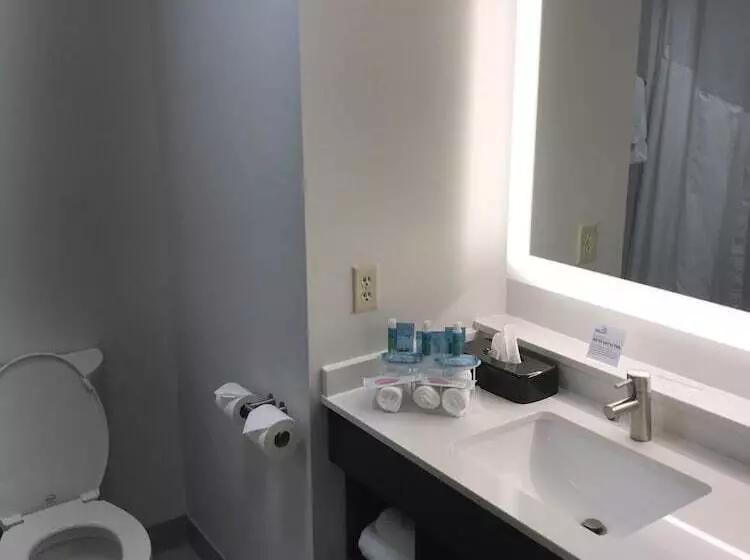 身障者適用スイートルーム, Holiday Inn Express & Suites Kingston Ulster, An Ihg