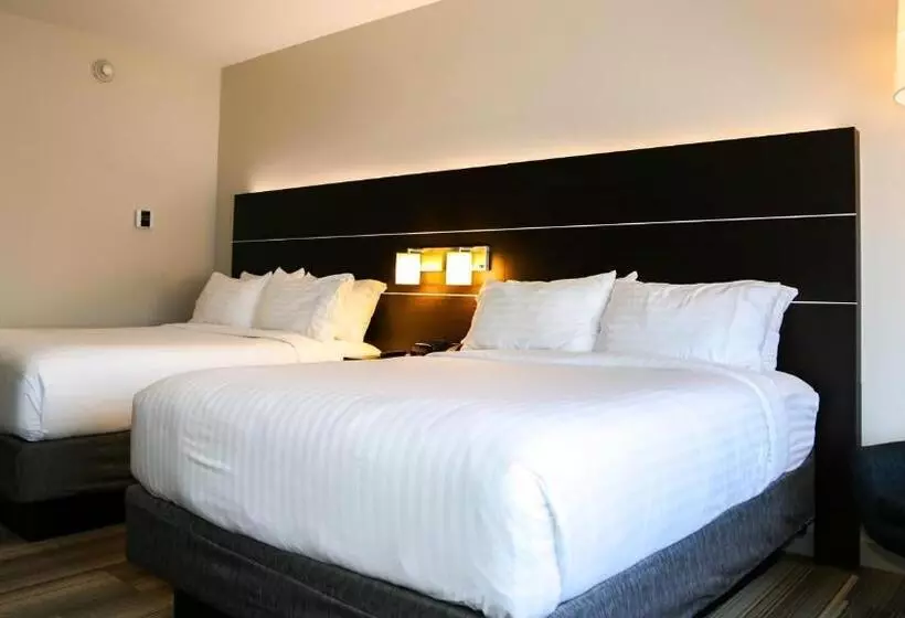 身障者適用スタンダードルーム, Holiday Inn Express & Suites Kingston Ulster, An Ihg