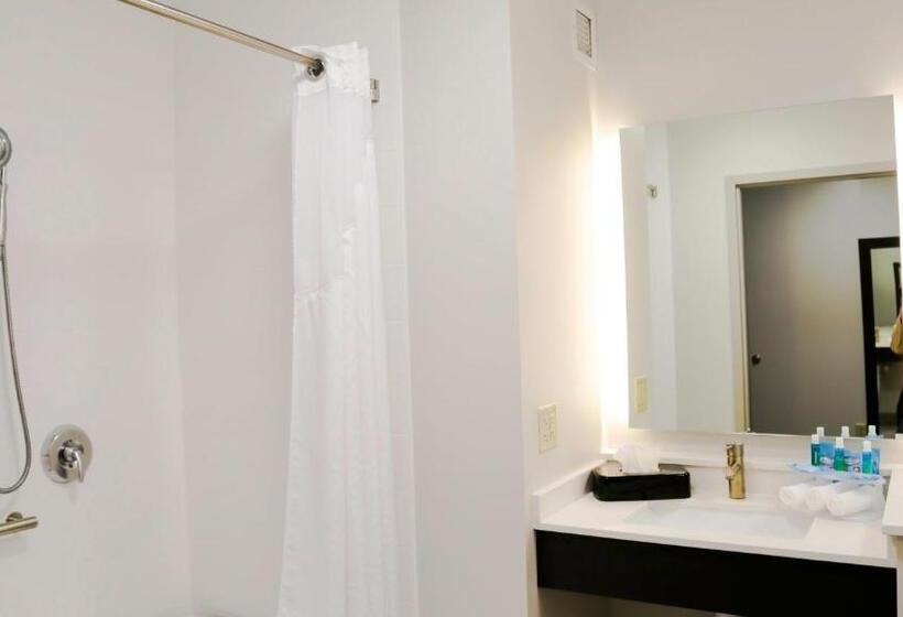 Quarto Estandar para Deficientes Físicos, Holiday Inn Express & Suites Kingston Ulster, An Ihg