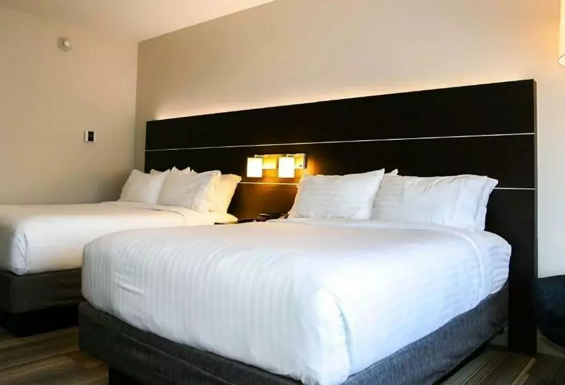 スタンダードルーム, Holiday Inn Express & Suites Kingston Ulster, An Ihg