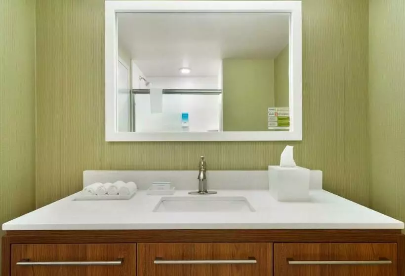 キングサイズベッドのデラックススイート, Home2 Suites By Hilton Roanoke, Va
