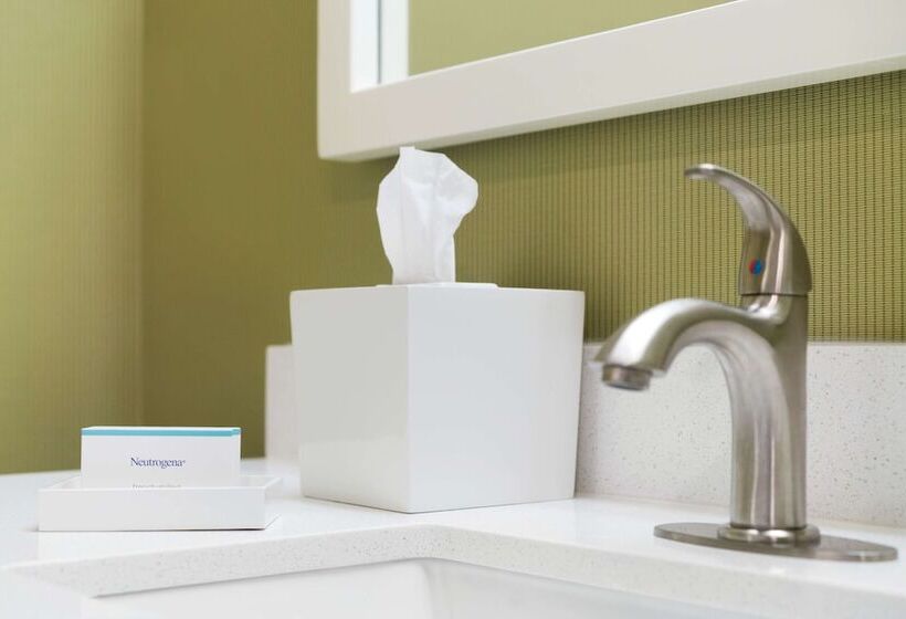 جناح, Home2 Suites By Hilton Roanoke, Va