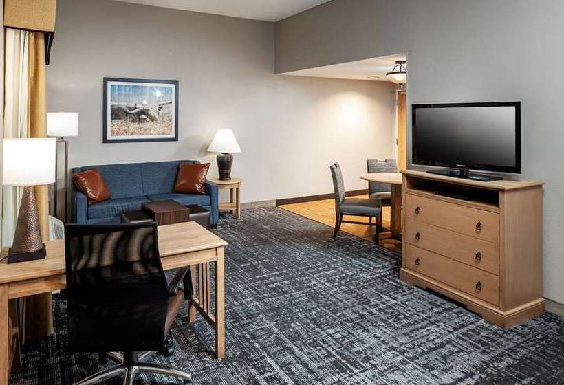 Люкс, Home2 Suites By Hilton Roanoke, Va