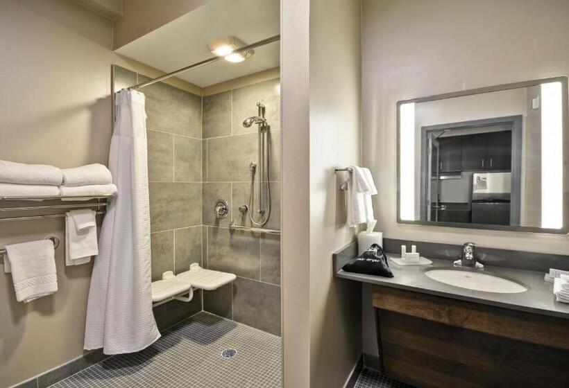 إستوديو قياسى سرير كينج, Towneplace Suites By Marriott Dover Rockaway