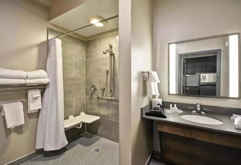 キングサイドベッドのスタンダードワンルーム, Towneplace Suites By Marriott Dover Rockaway