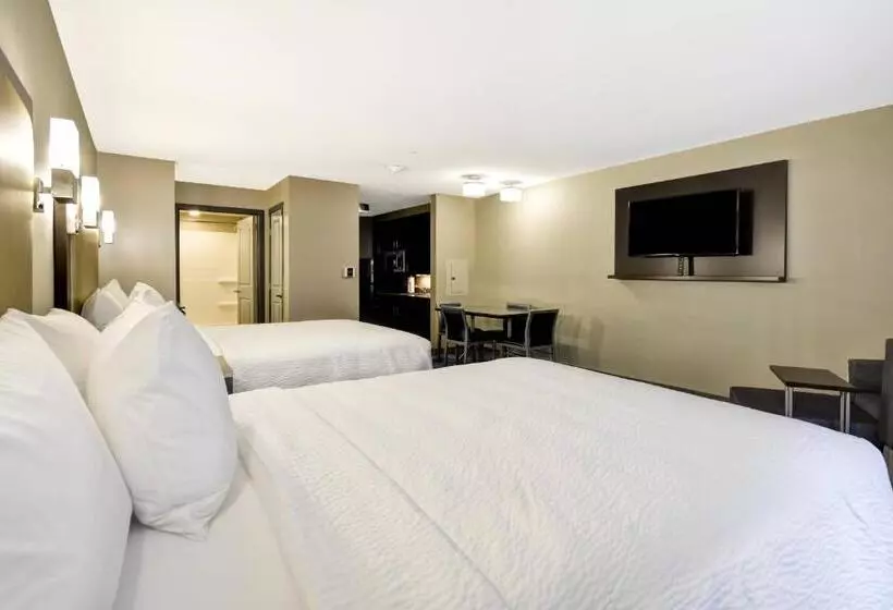 デラックススタジオ, Towneplace Suites By Marriott Dover Rockaway