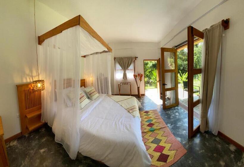 חדר דלוקס, Bio Rio