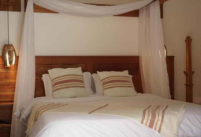 סוויטה עם טרסה, Bio Rio