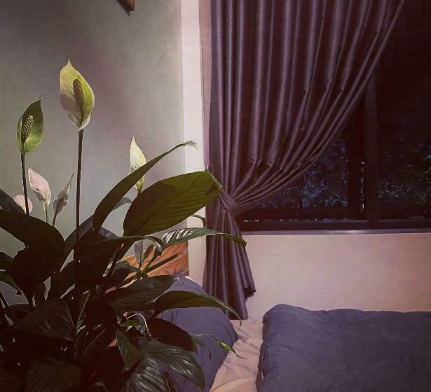 اتاق استاندارد, Babahouse Homestay Thành Phố Vinh