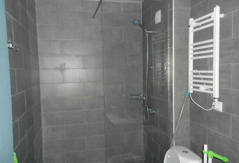 آپارتمان 1 خوابه, Mgzavrebi