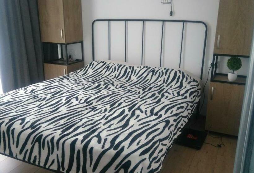 آپارتمان 1 خوابه, Mgzavrebi