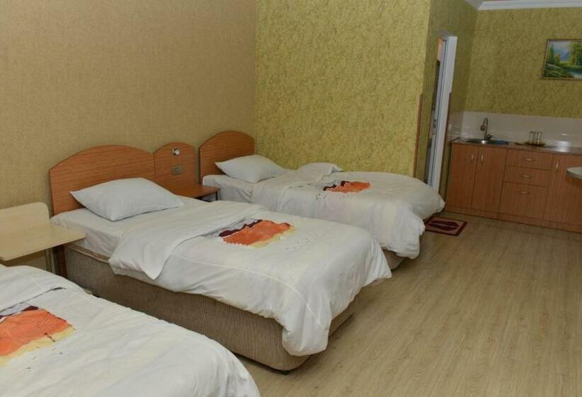 اتاق لوکس سه تخته, Tourist