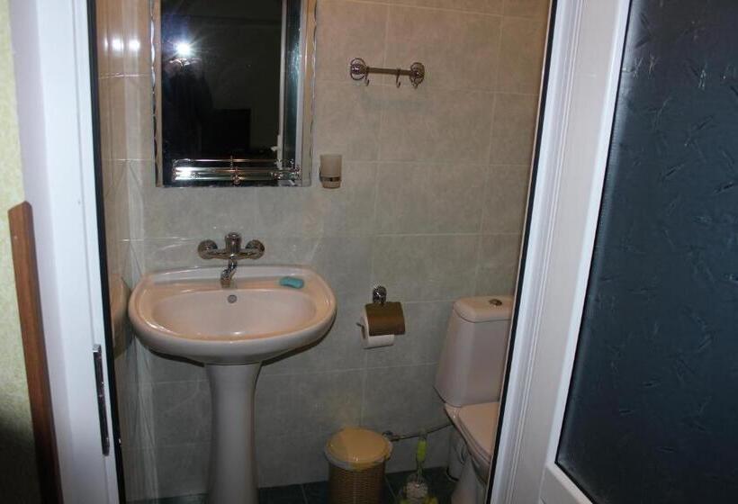 اتاق اکونومی, Tourist