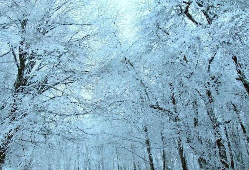 اتاق استاندارد چهار تخته, Villa Vita Bakuriani