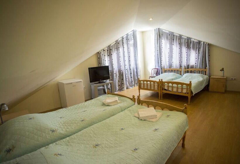 اتاق استاندارد چهار تخته, Villa Vita Bakuriani