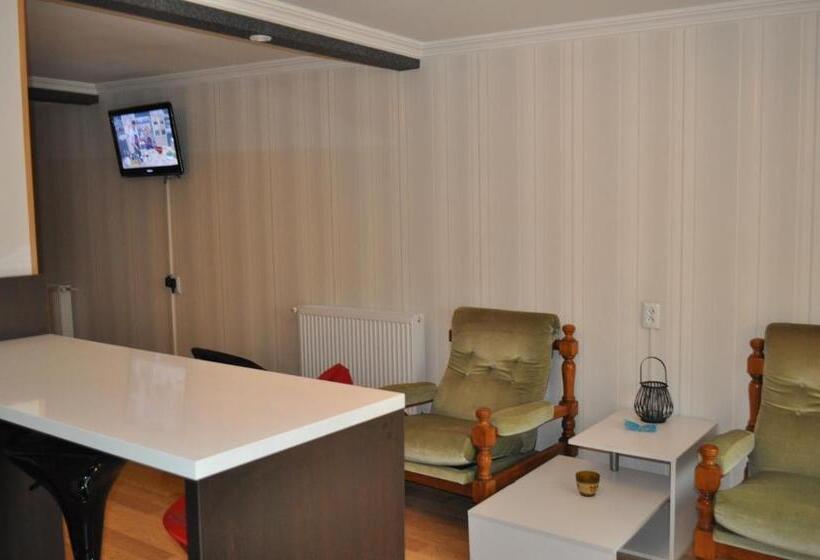 اتاق لوکس با بالکن, Your Comfort