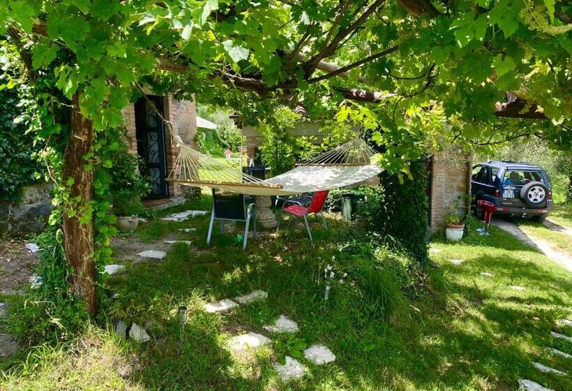 غرفة قياسية, Stanza Panoramica Dimora Bella Civita