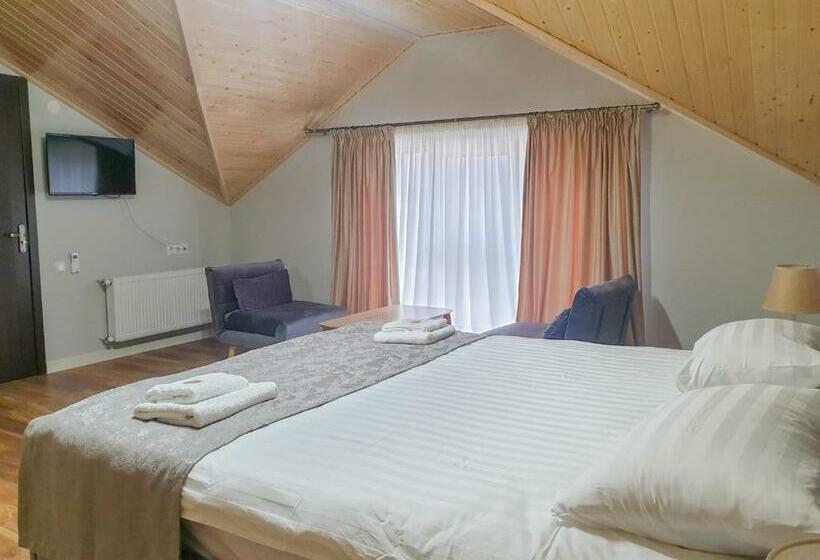 اتاق اکونومی, Villa Pelagoni