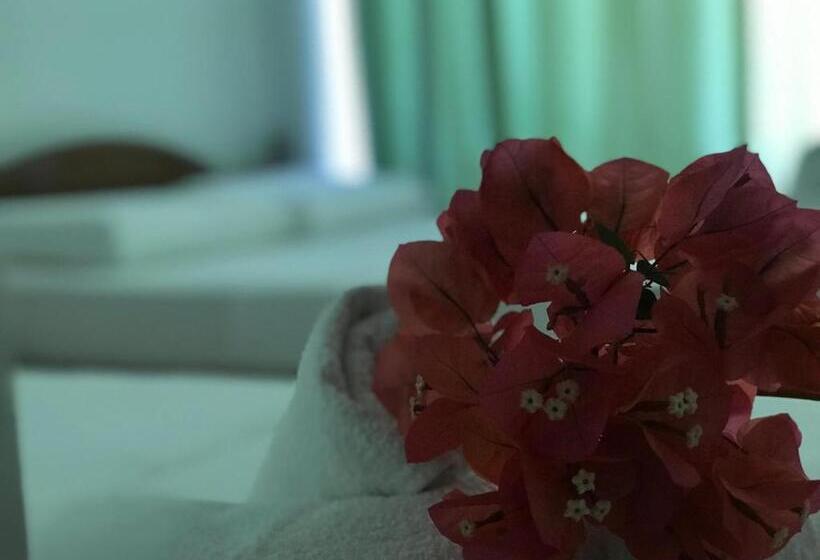 ファミリールーム, Tatzati 2