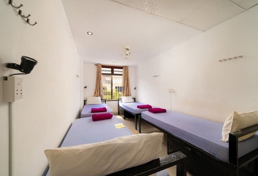 تختخواب در اتاق مشترک, Tribee Kinh Hostel & Bar