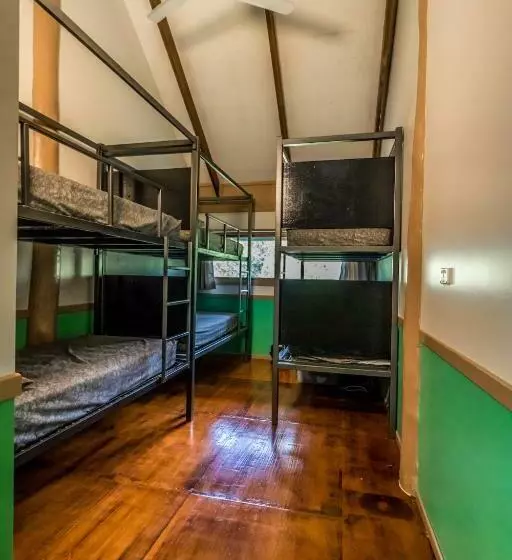 ルームシェアのワンベッド, Jackaroo Treehouse Rainforest Retreat